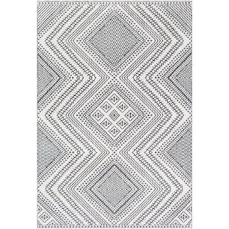 5'3" x 7'3" Rug