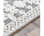 Surya Ariana 2'3" x 3'9" Rug