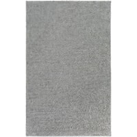 4' x 6' Rug