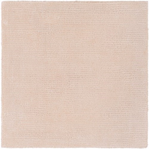 2' x 3' Rug
