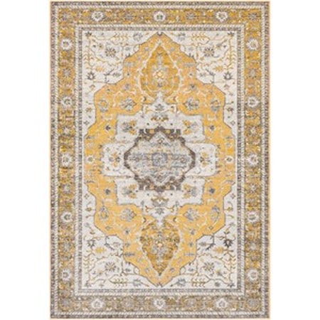 7'10" x 10'3" Rug