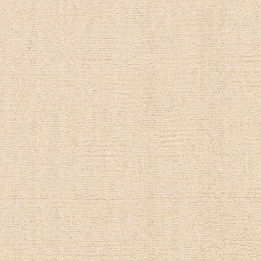 Surya Bari 5' x 7'6" Rug