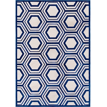 5'2" x 7'6" Rug