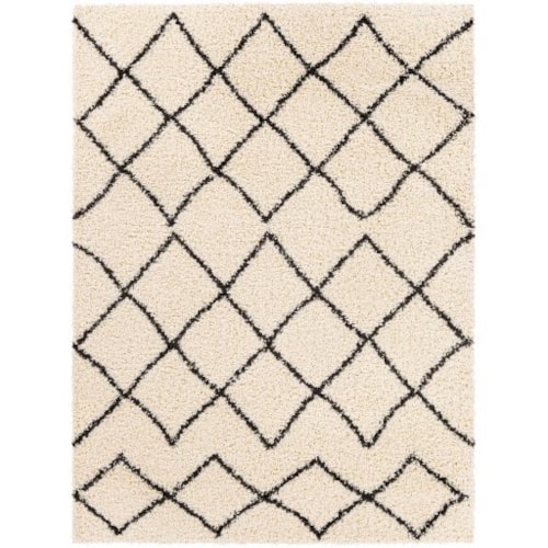 BSH-2301 6'7" x 9' Rug