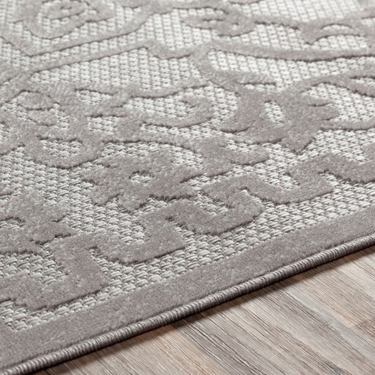 Surya Big Sur 2' x 3' Rug