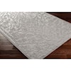 Surya Big Sur 2' x 3' Rug