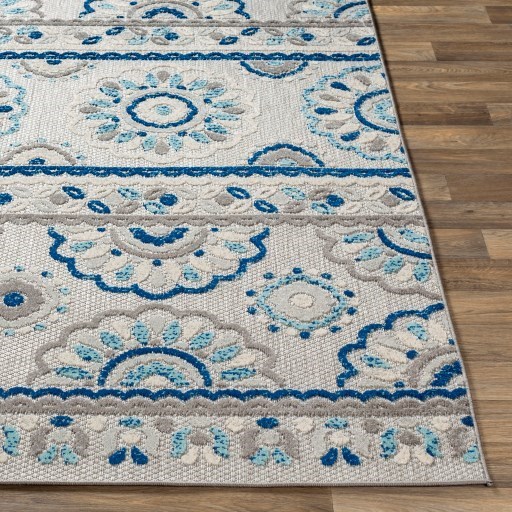 Surya Big Sur 2' x 3' Rug