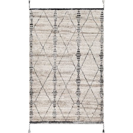 2' x 3' Rug