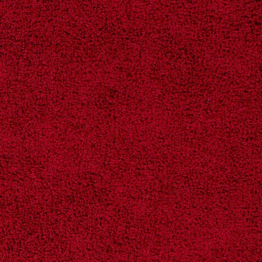 Surya Bliss shag BLI-2300 2' x 3' Rug