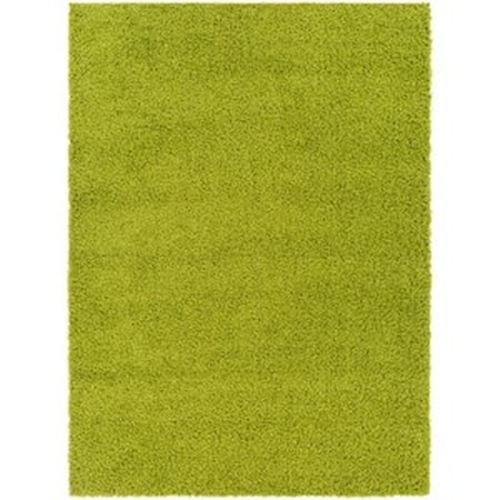 BLI-2301 5'3" x 7' Rug