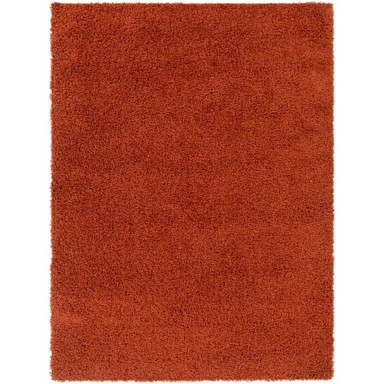 Surya Bliss shag BLI-2302 5'3" x 7' Rug