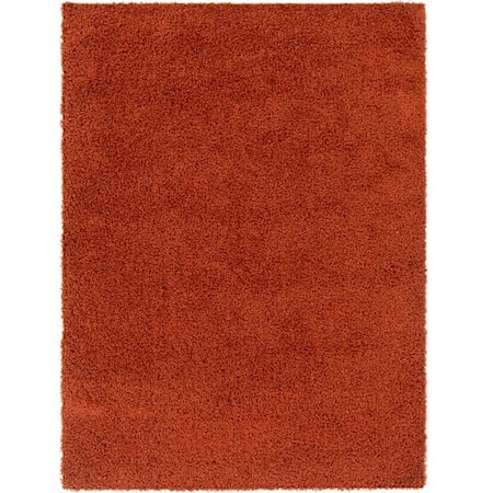 BLI-2302 5'3" x 7' Rug