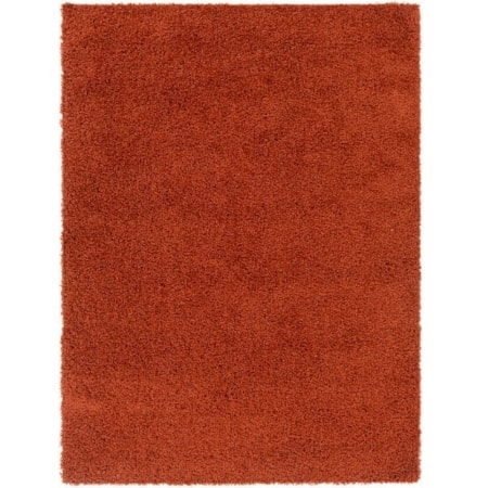 BLI-2302 5'3" x 7' Rug