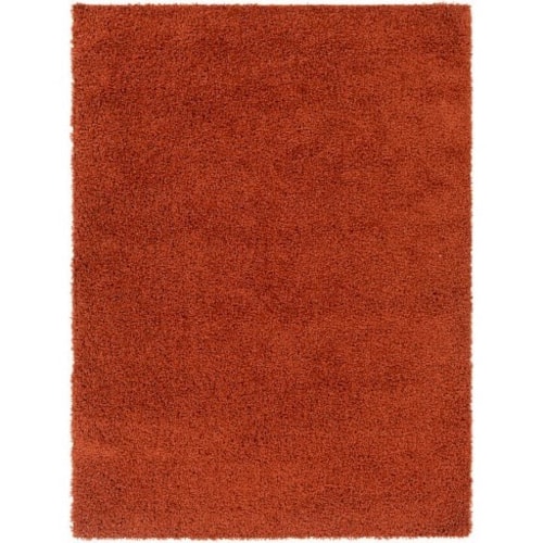 BLI-2302 5'3" x 7' Rug