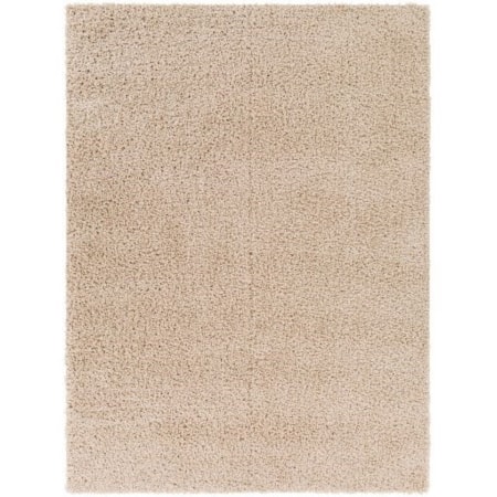 BLI-2303 5'3" x 7' Rug