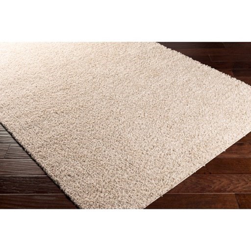 Surya Bliss shag BLI-2303 5'3" x 7' Rug