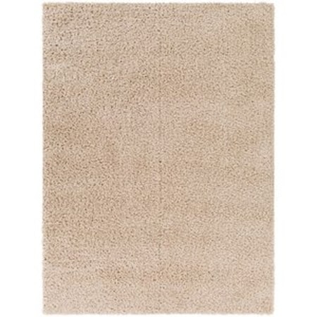 BLI-2303 5'3" x 7' Rug