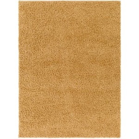 BLI-2304 6'7" x 9' Rug