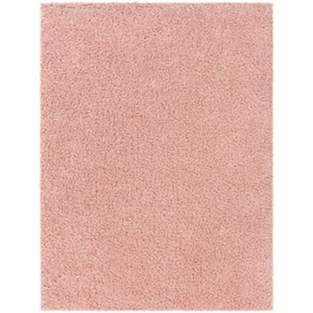 BLI-2309 6'7" x 9' Rug