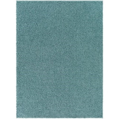 BLI-2310 2' x 3' Rug