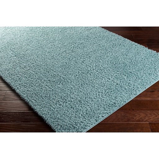 Surya Bliss shag BLI-2310 2' x 3' Rug