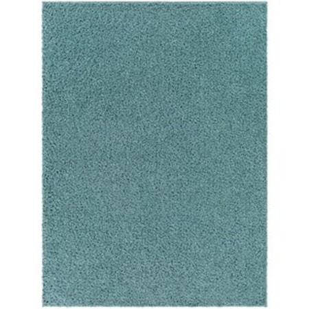 BLI-2310 2' x 3' Rug