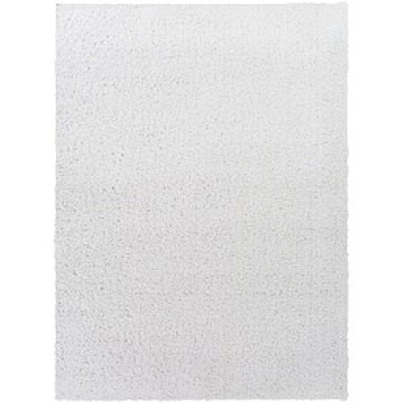 BLI-2311 4'3" x 5'7" Rug