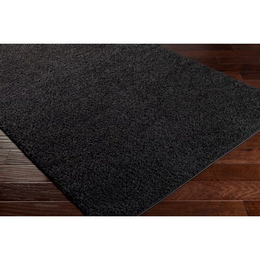 BLI-2312 2' x 3' Rug