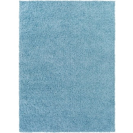 BLI-2313 6'7" x 9' Rug