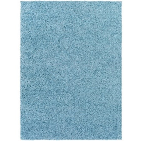 BLI-2313 6'7" x 9' Rug