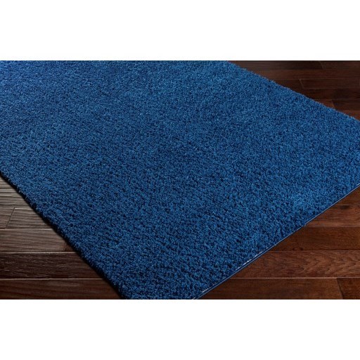 BLI-2314 2'6" x 8' Rug