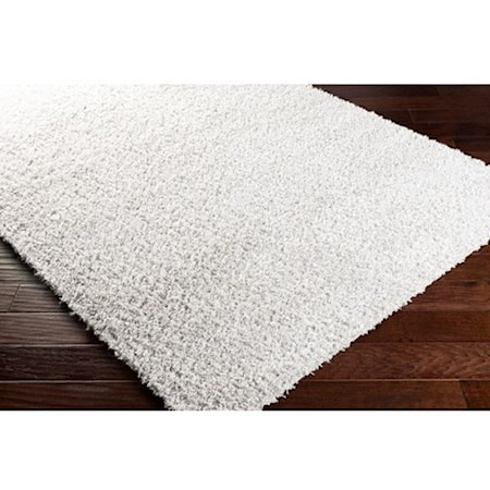 BLI-2316 6'7" x 9' Rug