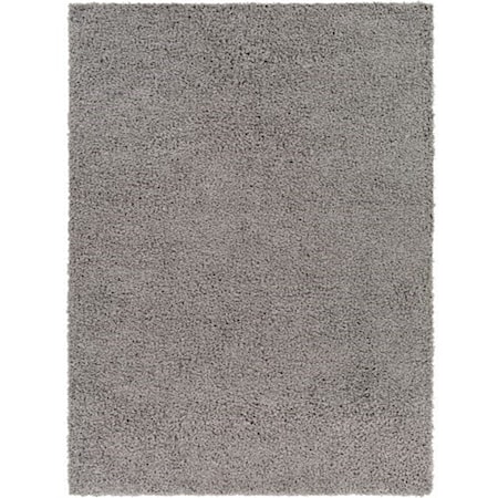 BLI-2317 4'3" x 5'7" Rug