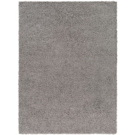 BLI-2317 5'3" x 7' Rug