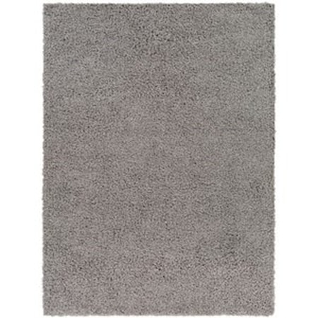 BLI-2317 5'3" x 7' Rug