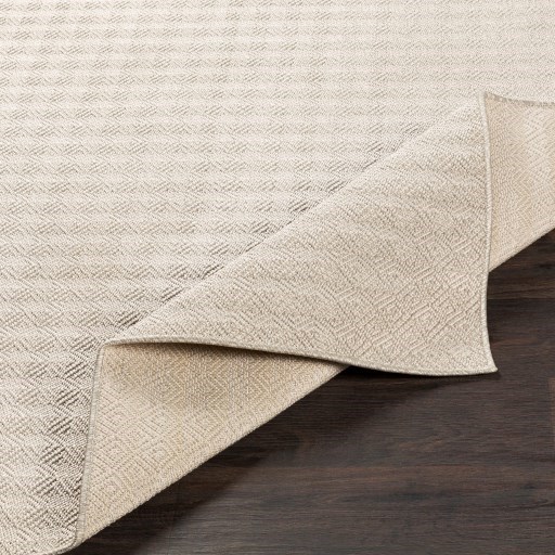 Surya Breeze 2' x 2'11" Rug