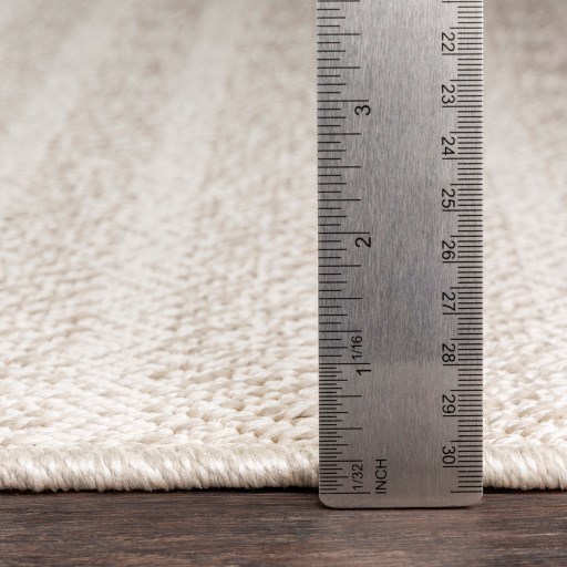 Surya Breeze 2' x 2'11" Rug