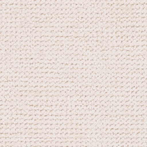 Surya Calm 2' x 3' Rug