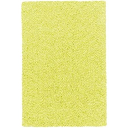 2' x 3' Rug