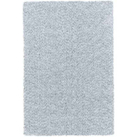 4' x 6' Rug