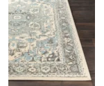 Surya Chelsea 2' x 3' Rug