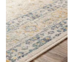 Surya Claire 7'10" x 10' Rug