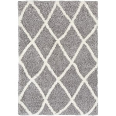 7'10" x 10'3" Rug
