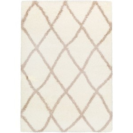 5'3" x 7'3" Rug