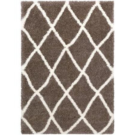 6'7" x 9'6" Rug