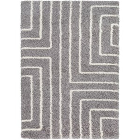 2' x 3' Rug