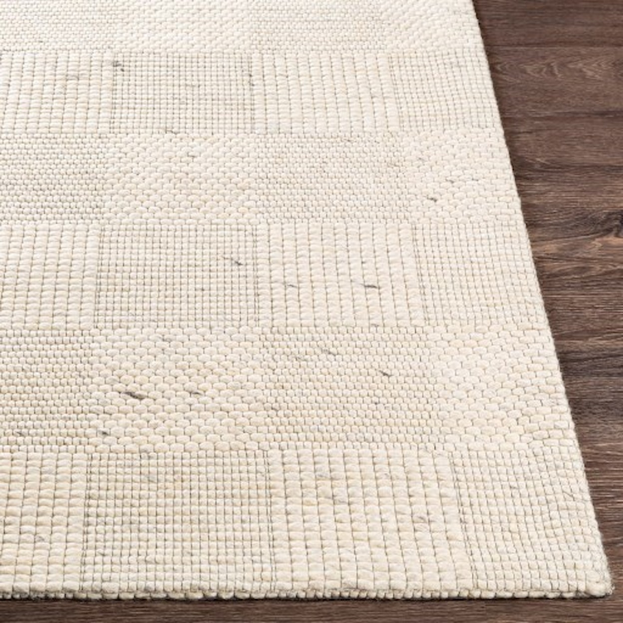 Surya Colorado 2' x 3' Rug