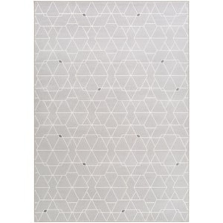 5'3" x 7'6" Rug