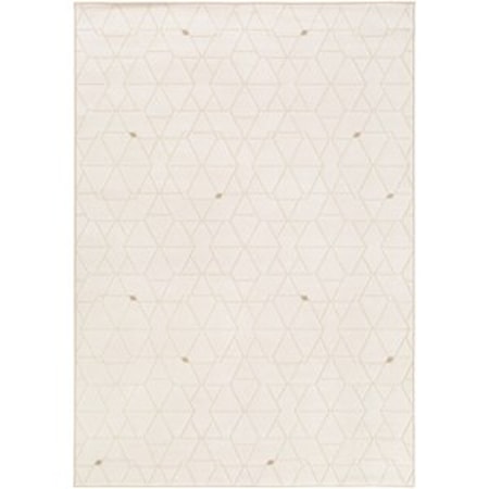 2' x 3' Rug
