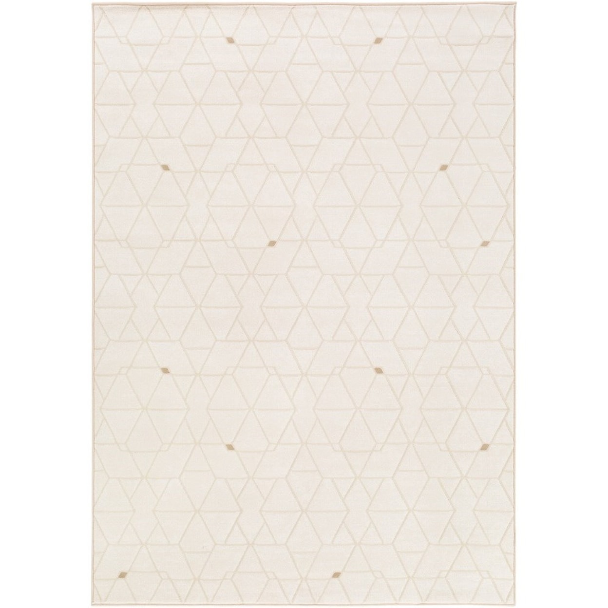 Surya Contempo 3'11" x 5'7" Rug